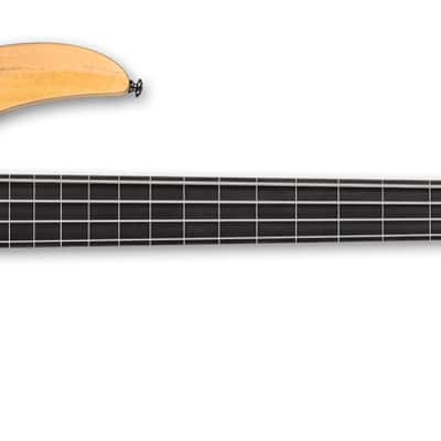 ESP LTD B-204SM Fretless Bass in Natural Satin image 2