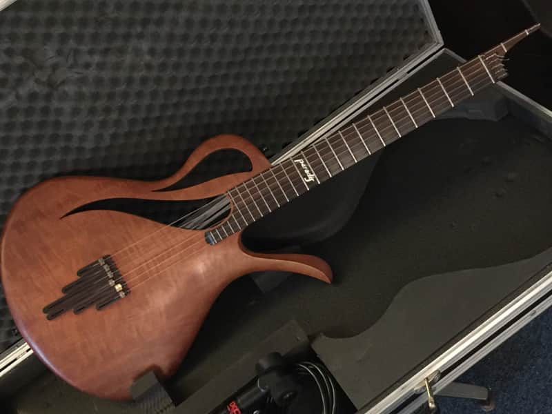 Paradis Avalon Nylon String Electric Polyphonic Guitar image 1