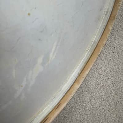 Slingerland Vintage Radio King 24” Genuine Calf Skin Bass Drum Head Lot #1 40s - Calf skin image 9
