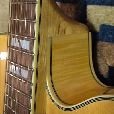 D'Angelico Excel EXL-1 Hollow Body Archtop with Rosewood Fretboard 2018 - Natural-Clear image 8