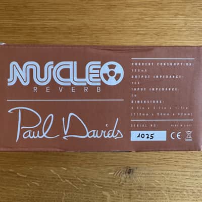 Cornerstone NUCLEO Paul Davids Signature Reverb image 11