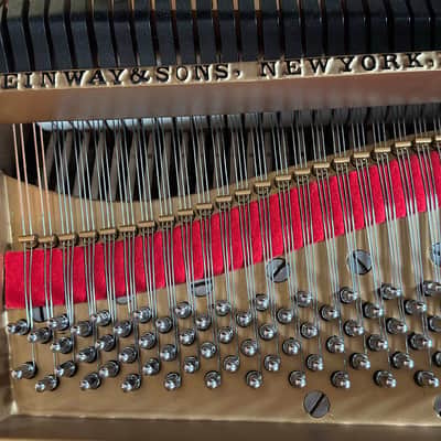 Steinway&Sons M 1916 - Mahogany Satin image 18