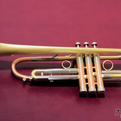 LOTUS Lotus LEAD/SOLO Brushed Lacquer (New) B♭ Trumpet image 10