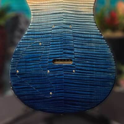 PRS Private Stock 11033 Special 22 Semi-hollow Piezo Iceberg Fade 0385563 image 4