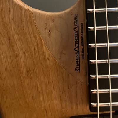 Washburn N4 Swamp Ash image 15