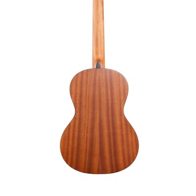 Cordoba Protege C1M Nylon Guitar Three Quarter Size image 5