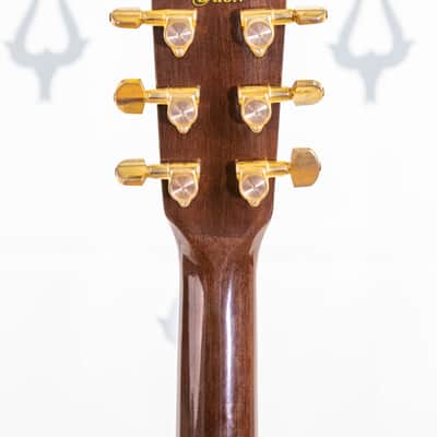 Daion Year Series '79 Brown Acoustic Six String image 17
