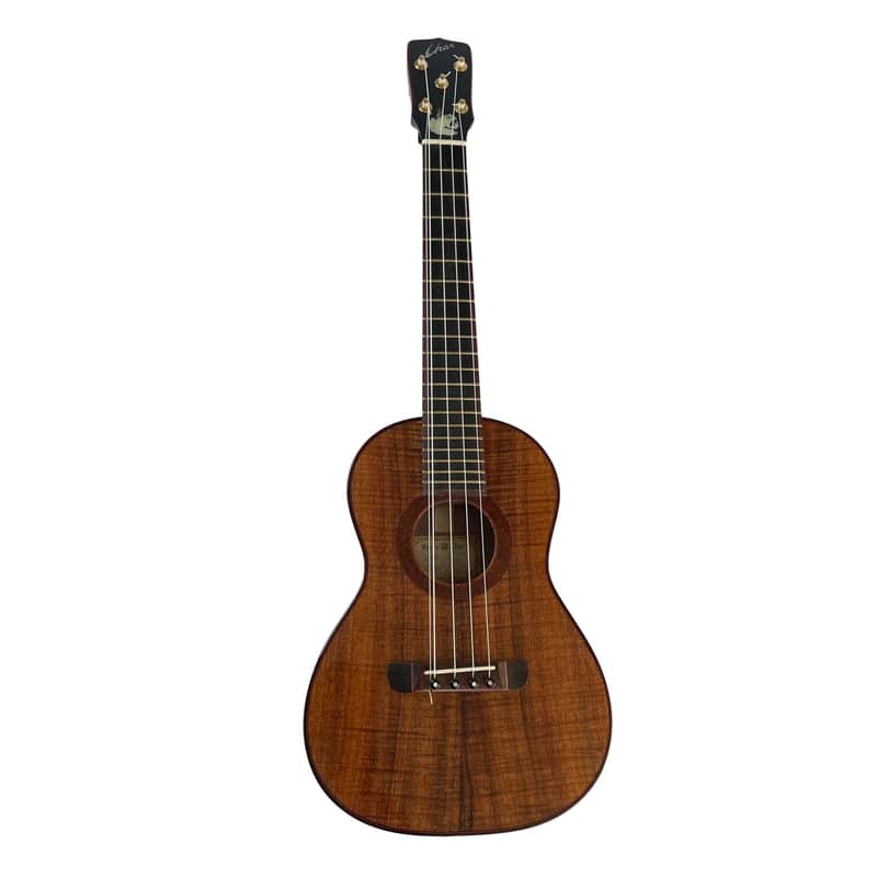 Kerry Char Tenor 2017 - High gloss image 1