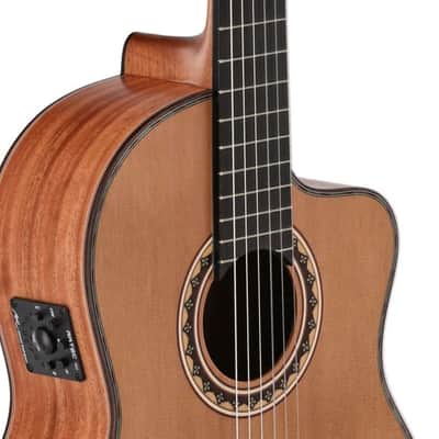 Manuel Rodriguez Tesoro De Camerun Limited Edition Solid Cedar Top & Cedar Neck 6-String Classical Acoustic-Electric Guitar w/Hard Case image 6