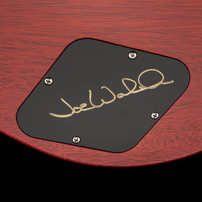 Paul Reed Smith Joe Walsh Autographed Limited Edition McCarty 594 Singlecut  2021 McCarty Sunburst image 6