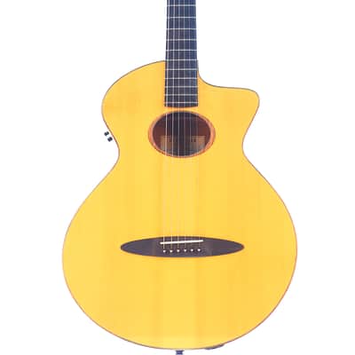 Schertler SM Acoustic Guitar – A Rare Gem in Electro-Acoustic Innovation - check video! image 1
