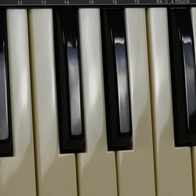 novation Bass Station image 15