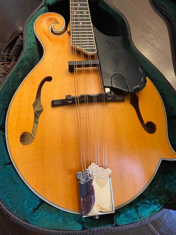 Epiphone MM-50E エレキ マンドリン エピフォン ハードケース Epiphone MM-50E エレキ マンドリン エピフォン ハードケース 希望者