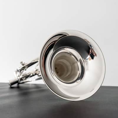 Yamaha YTR-8335LAIIS Wayne Bergeron Custom Bb Trumpet (SN E023xx) image 9