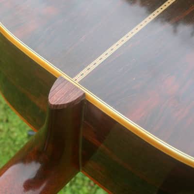 1976 Takamine Elite TW100 Jacaranda Body Natural+Vintage Hard Case image 18
