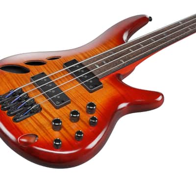 Ibanez Bass Workshop SRD900F Fretless Bass - Brown Topaz Burst image 6