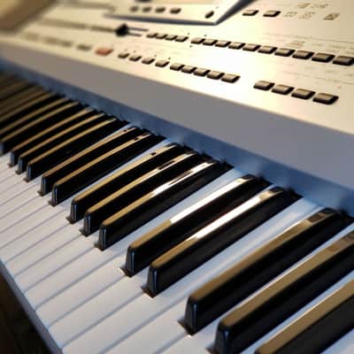 MINT CONDITION KORG PA-80 SYNTHESIZER, ARRANGER WITH THE TURKISH ARABIC EXTERNAL ROM DRIVE! image 3