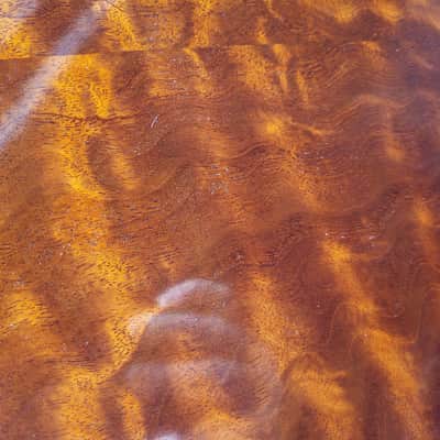 "THE TREE" Mahogany Dillard OM Acoustic Guitar 2023 image 25