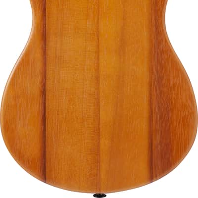 Ibanez AUP10N Compact Nylon String Guitar w/Gig Bag - Open Pore Natural image 2