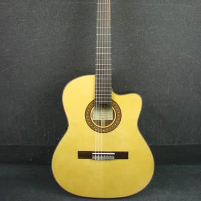 Salvador Ibanez GA5TCE-14-01 Thinline Classical Acoustic/Electric Guitar image 1