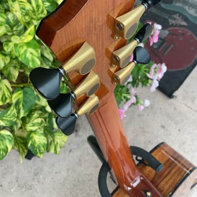 Williams Kiwi 2005 - Taraire/Kauri Acoustic Guitar w/ Original Case -Very Rare! image 13