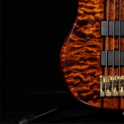 Peavey Cirrus Custom Shop 6 String bass - The "Poor Man’s Ken Smith" of Ghospel image 5