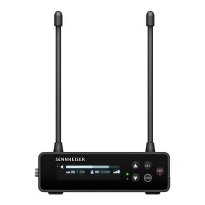 Sennheiser EW-DP ENG Set (Q1-6) Camera-Mount Digital Wireless Microphone System Bundle w/Pig Hog PHM10 8mm Mic Cable, 4-pack Blucoil AA Batteries and Liquid Audio Polishing Cloth image 7