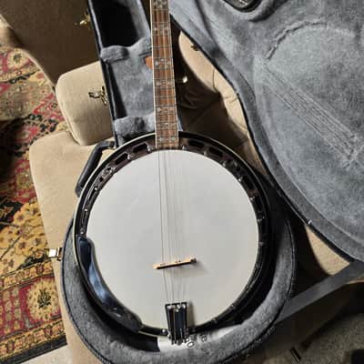 Gold Tone TS-250 4-String Flat Top Resonator Tenor Special Banjo image 1