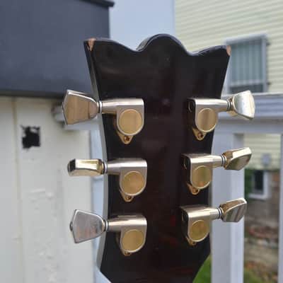 Immagine Polytone Improv I Archtop Jazzbox - RARE - Japan - 14