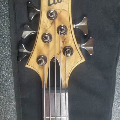 ESP LTD ACTIVE 5 string Bass Spalted Maple with EXTRAS **minty** image 5