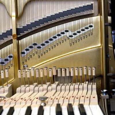 PETROF ANT. PROF 136 CONCERT UPRIGHT PIANO Premier Upright/Grand style image 9
