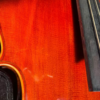 Beautiful 4/4 Panis Angelicus Cello w/ Bow & Hard Rolling Case image 15