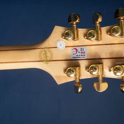 2025 Epiphone Sheraton II image 7