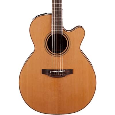 Takamine FSF40C Santa Fe image 1
