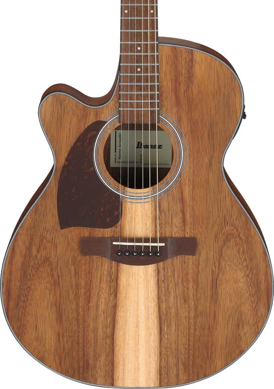 Ibanez PC50WSLCE
