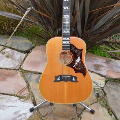 Gibson Dove 1975 Sunburst image 1