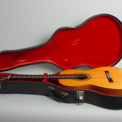 Del Pilar  Classical Guitar (1971), original black hard shell case. image 10