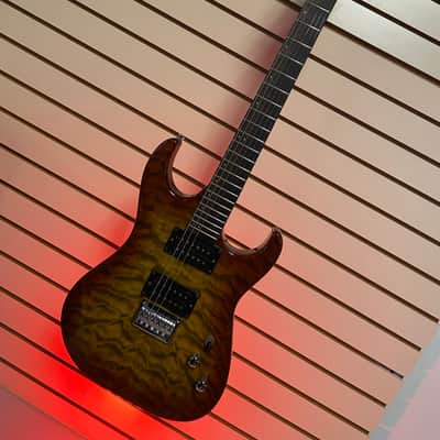 Washburn X -Series Tabaco Burst image 2