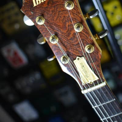 Ibanez MC300-DS Musician 1978 - 1980 - Dark Stain image 8
