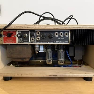 Mesa Boogie mark IIC+/++ SRGX Head Metallica Sound image 8