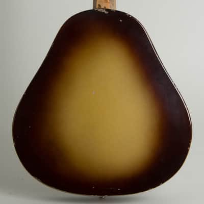 National  Triolian Resophonic Mandolin (1930), ser. #503W, gig bag case. image 4