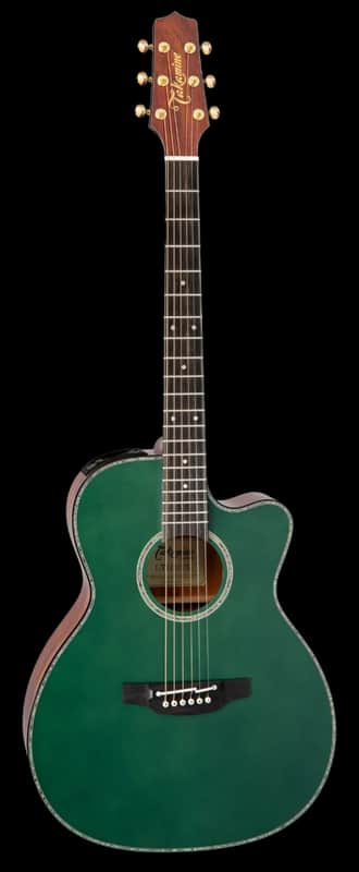 Takamine Limited Edition - Model LTD 2025 - Acoustic Guitar image 1