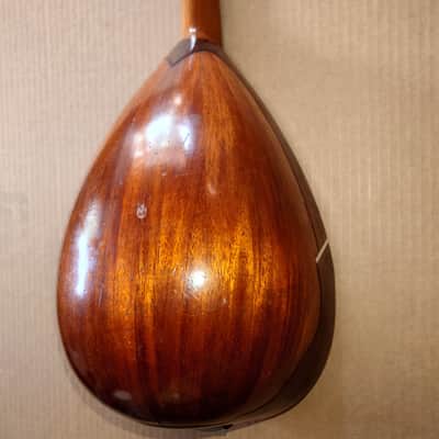 Rare Schwarzer Model 120 "Echo" bowl back mandolin Circa 1900 image 7