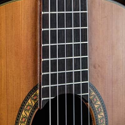 1977 Ibanez Model 2802M natural image 4