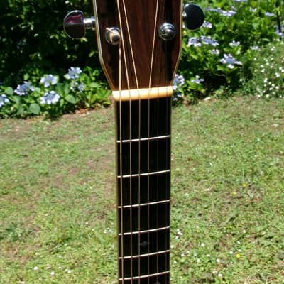 1979 Yairi YW-500P D-35 style + New Gig Bag plus more image 5