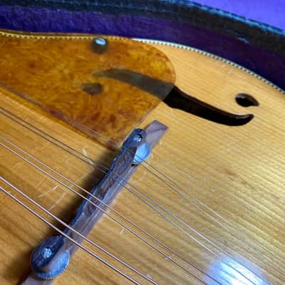 1950's Silvertone Mandolin - Includes Chipboard Case! image 17