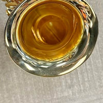 2008 Cannonball Sceptyr Alto Sax, w/ OHSC, 2- Mouthpieces, 2- Straps, Cork Grease Execellent Condition image 6