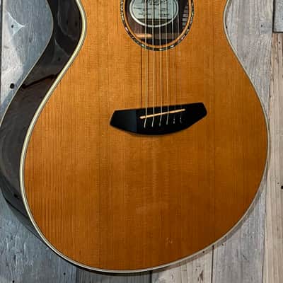 2018 USA Breedlove Premier Concert LTD Cedar/Rosewood Limited Edition Cutaway Acoustic/Electric Guitar Gloss Natural, Comes with a Pro Set up and Ships Fast! image 3
