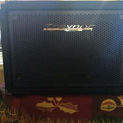 Traynor TC112 Lightweight Bass Cabinet! Rare, and Awesome! image 1