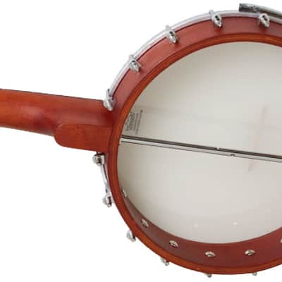Epiphone MB-100 Banjo image 4